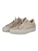 Paul Green Sneaker in Beige
