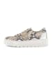 Gabor Sneaker low in multicolour
