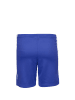 Nike Performance Funktionsshorts Team Basketball Stock in blau / weiß