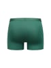 Erlich Textil  Erlich Textil enge Boxershorts LIGHT TOUCH PANTS in waldgrün