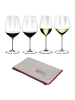 RIEDEL Glas 5-tlg. Verkostungsset + Poliertuch Performance in in transparent