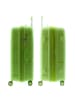 Gladiator 0800 4 Rollen Trolley 76 cm mit Dehnfalte light green