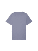 Puma T-Shirt "Ess Small NO. 1 Logo Tee (S)" in Grau