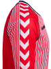Hummel T-Shirt Dbu 86 Fußball Erwachsene in RED/WHITE