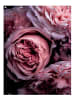 Juniqe Duschvorhang "Vintage Pink" in Rosa