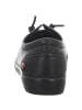 softinos Schnürschuhe in schwarz