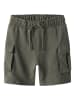 name it Cargoshorts in Dusty Olive