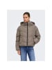 ONLY Jacke in Walnut