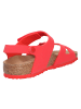 Birkenstock Sandale in rot