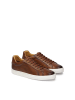 Kazar Sneaker Low in Braun