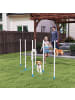 Pawhut Hunde Agility Set Weiß+Blau PE-Kunststoff