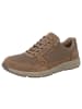 Solidus Sneaker Low in braun