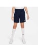 Nike Shorts für Jungen in uni