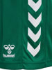 Hummel Hummel Verstellbare Taille Kurze Hose Hmlcore Kinder in EVERGREEN