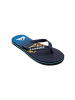 Quicksilver Flops Molokai in Blau