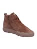 Paul Green Stiefeletten/Boot in braun