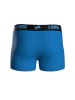 NFL Boxershort 6er Pack in Detroit Lions/Schwarz