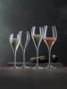 Spiegelau Champagnergläser Sparkling Party in 250 ml in transparent