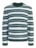 Jack & Jones Strickpullover in Pine Grove