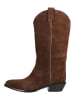 Jeffrey Campbell Stiefel HOMSTAED in Braun