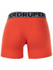Superdry Boxershort 3er Pack in Schwarz/Grau/Orange