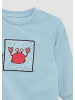 s.Oliver Sweatshirt in 5310_himmelblau