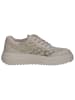 Caprice Sneaker in VANILLA COMB