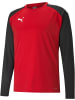 Puma Pullover "TeamLIGA Training Sweat" in Rot