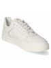 Sioux Low Sneaker TEDROSO in weiß