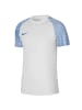 Nike Nike NK DF Academy JSY SS in Blau