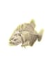 Clementoni Tiere Archeo Fun Leuchtendes Piranha Archäologie-Set