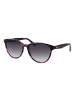 Ted Baker Frauen Sonnenbrille Panto Rose