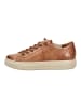 Paul Green Sneaker in Cognac