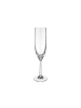 Villeroy & Boch Champagnerglas Octavie 160 ml in transparent