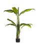 Beliani Kunstpflanze MUSA TREE in Grün/Schwarz - (W) 14 x (H) 154 x (L) 14 cm