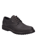 Josef Seibel Freizeitschuhe Erroll in braun in braun