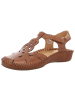 Pikolinos Sandalen in braun