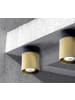 Licht-Erlebnisse Deckenlampe Ø 8 x (H)10.5 cm in Schwarz Gold