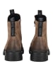 Steve Madden Stiefelette Taupe