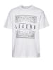 DNGRS Dangerous Tall Tee in white