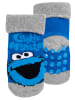 United Labels 2er Pack Sesamstraße  - Krümelmonster ABS Rutschfeste Baby Socken in blau/grau