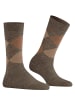 Burlington Socken Melange Marylebone in Herbst