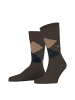 Burlington Socken 2er Pack in Braun