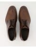 LLOYD Anzug- & Businessschuhe in Braun