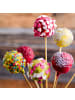 relaxdays 1000 x Cake Pop Stiele in Natur - 15 cm