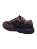 Paul Green Sneaker Low in braun