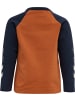 Hummel Kinder Longsleeve "Ceasar T-Shirt Longsleeve" in Braun