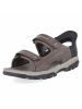 Skechers Sandalette in braun