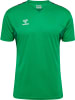 Hummel T-Shirt Hmlauthentic Herren in JELLY BEAN
