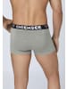 Chiemsee Boxershorts in Grau